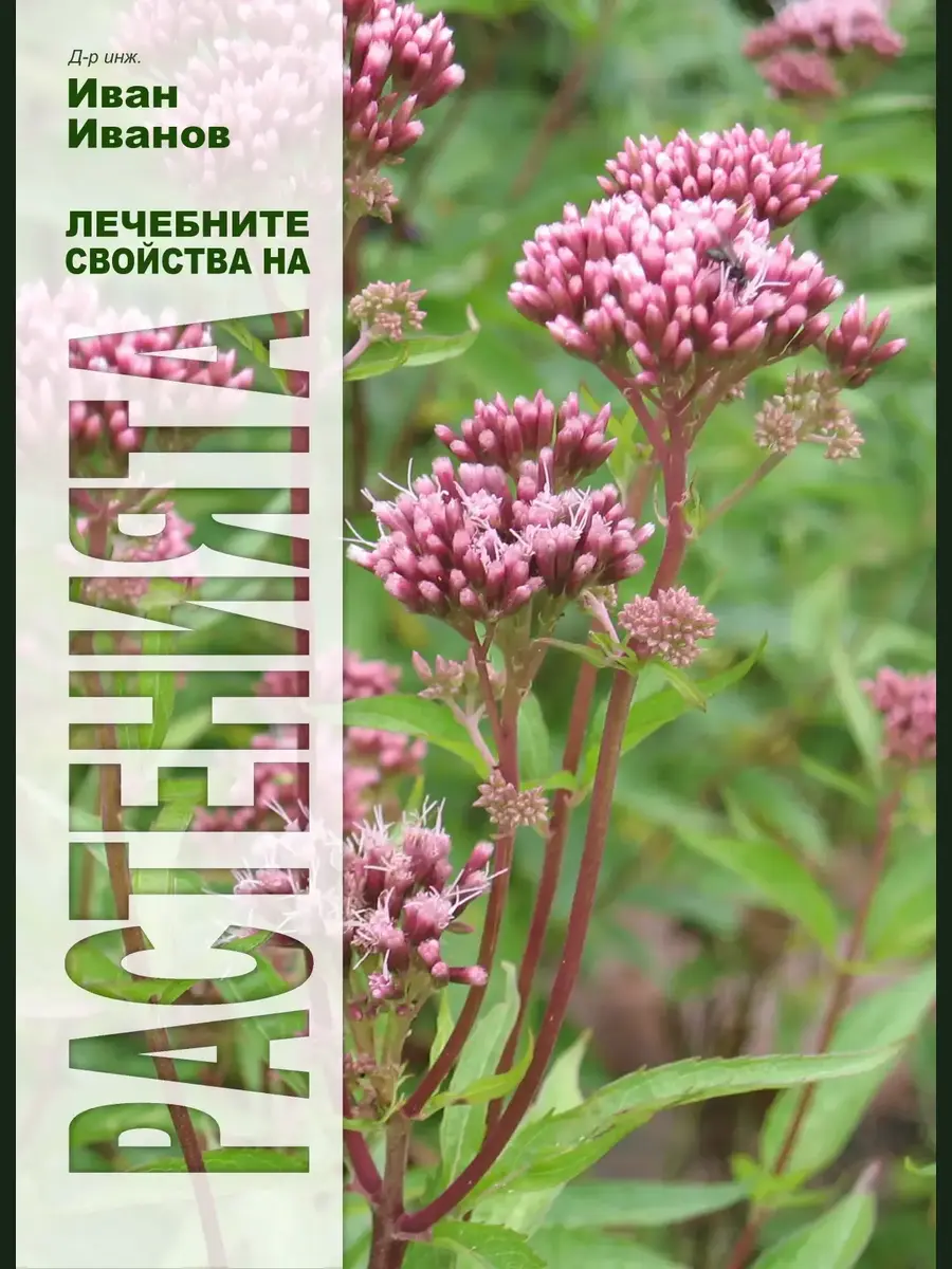 The Healing Properties of Plants book cover